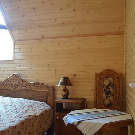 Syniogirska *