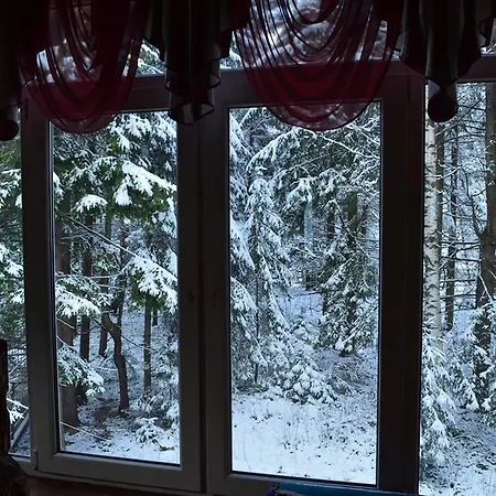 Syniogirska * Solotvyn (Ivano-Frankivsk)
