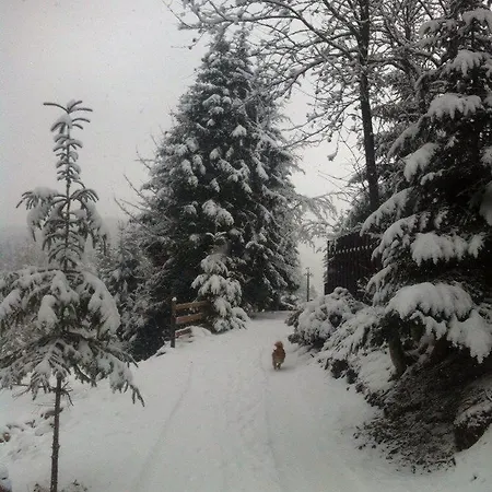 Syniogirska * Solotvyn (Ivano-Frankivsk)