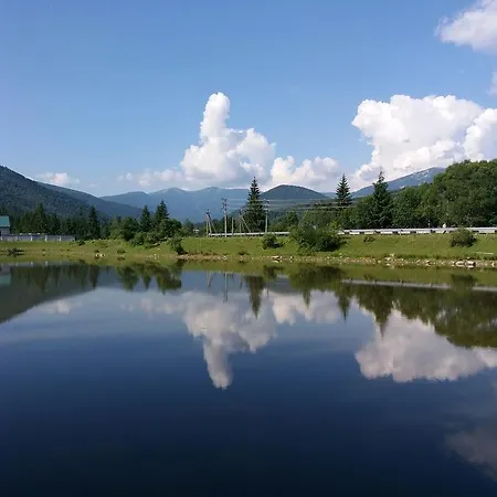Syniogirska