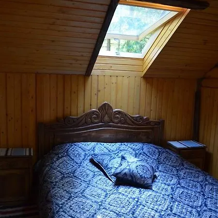 Syniogirska Solotvyn (Ivano-Frankivsk)