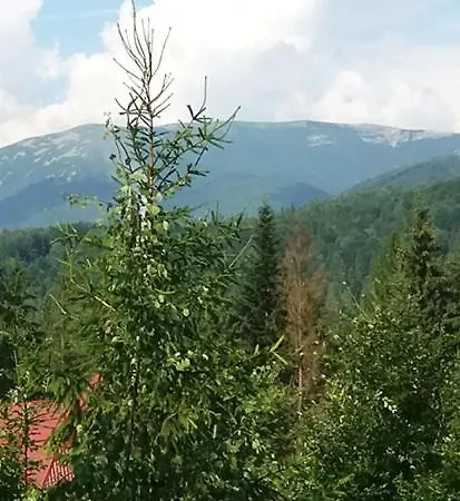Chata Syniogirska Solotvyn (Ivano-Frankivsk)